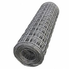 China Wholesale 1 Inch Hot DIP Galvanzied Welded Mesh (GWM)